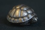 Tortoise Palm Charm